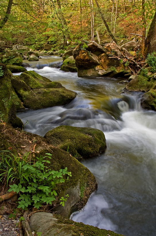 Irreler Wasserfälle Versuch 2