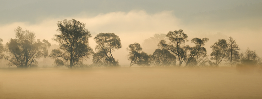 morgendliche Nebelstimmung