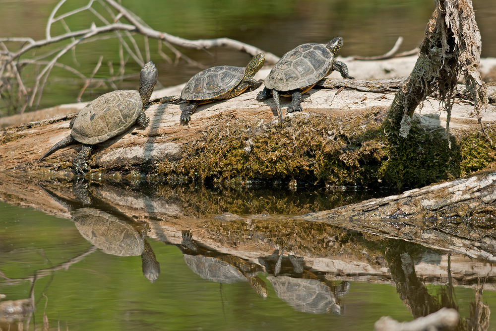 Auf der Sonnenbank