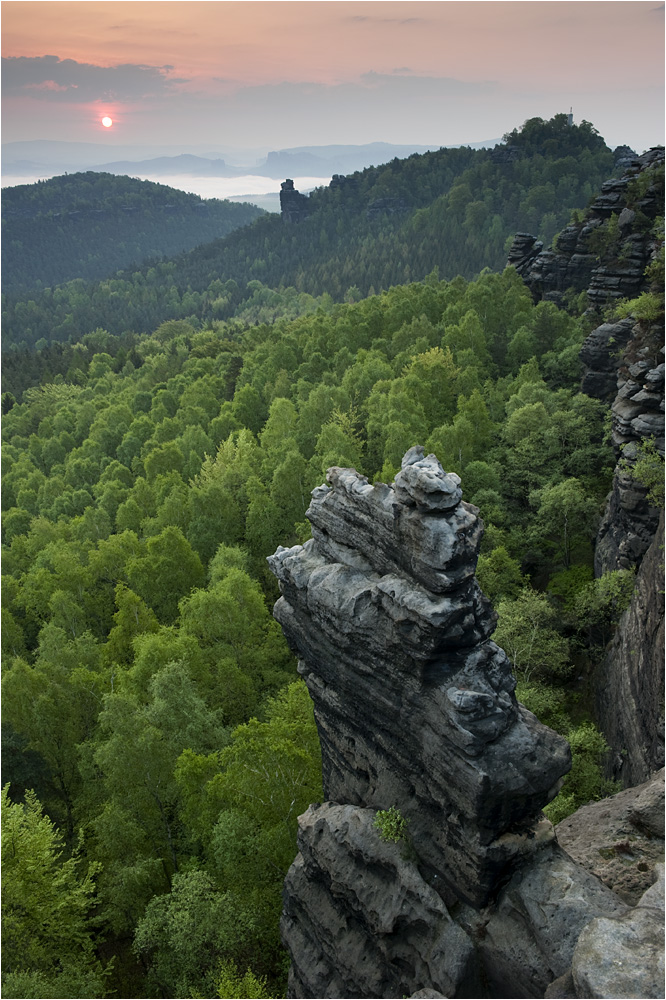 Frisches Grün am Gohrisch