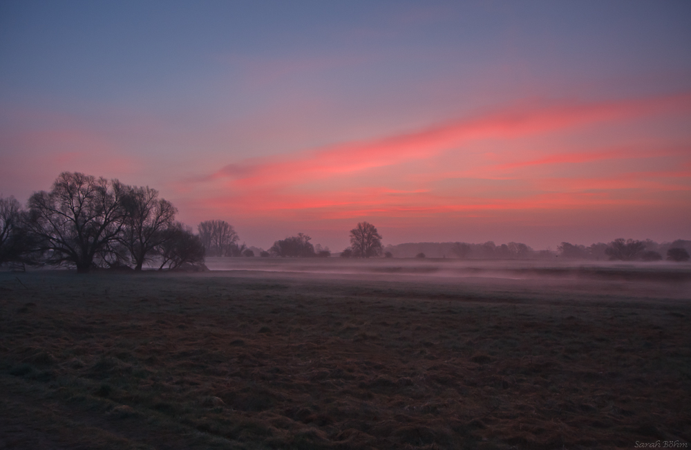 Oderlandschaft vor Sonnenaufgang