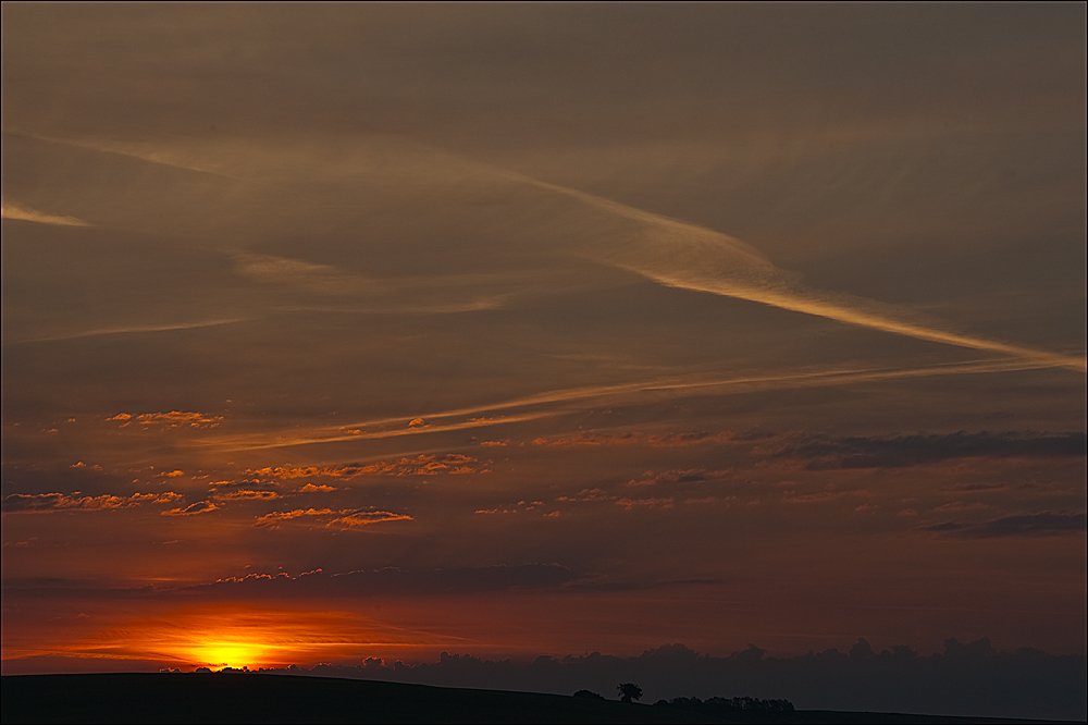 Sonnenaufgang (Forum für Naturfotografen)
