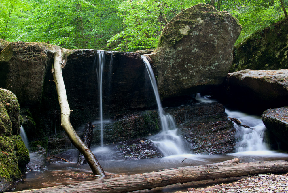 In der Ehrbachklamm...