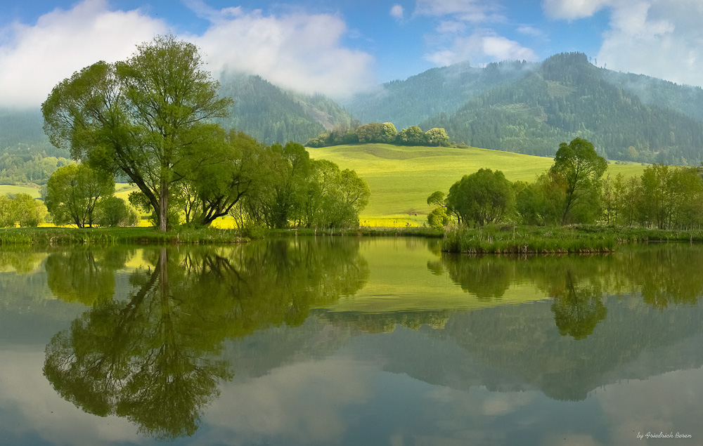 Frühlingsmorgen am See