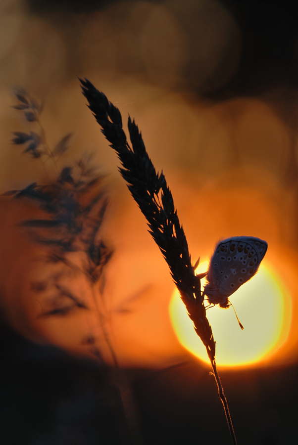 Letztes Lichtfenster