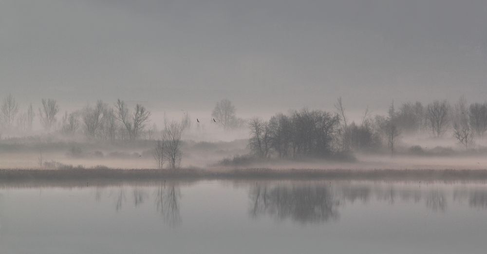 Kalterer See im Morgennebel