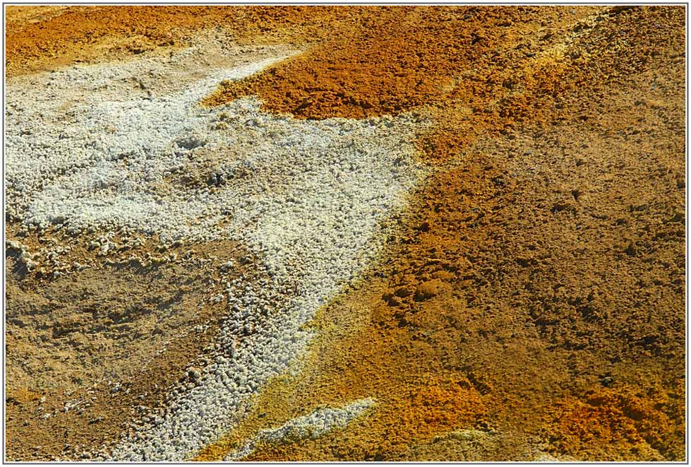 Farbspiel der Natur