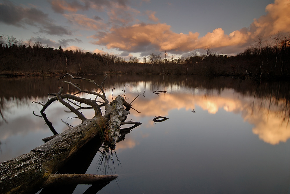 Abend am Teich ND (Forum für Naturfotografen)