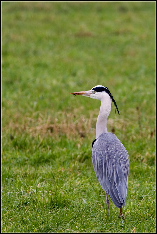 Alles im Blick?