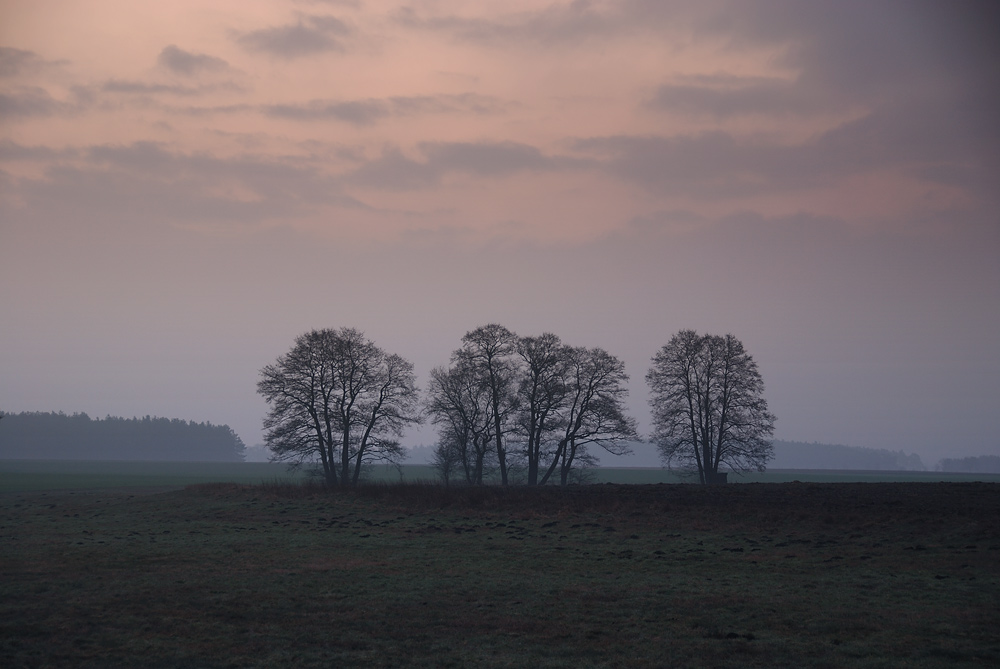 Morgenlicht