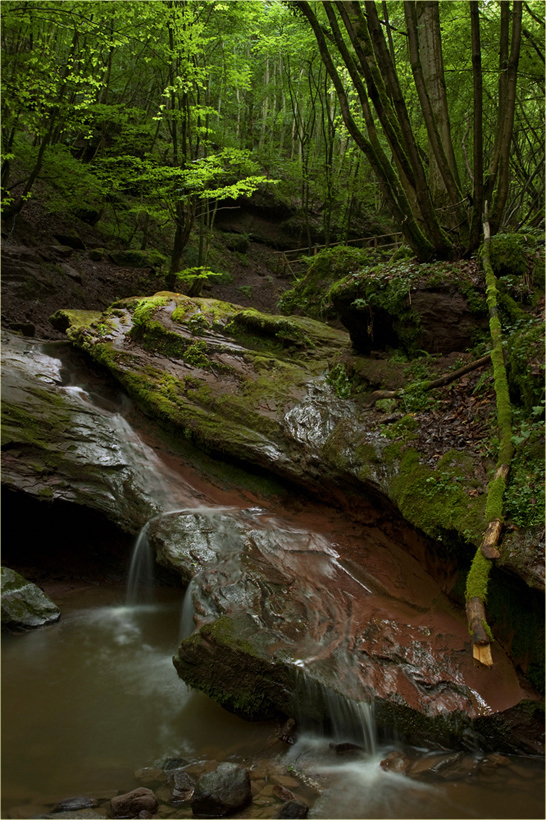 Butzerbachtal im zweiten Versuch
