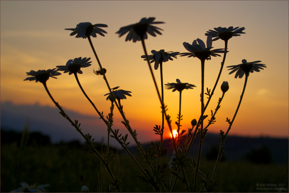 Sonnenuntergang