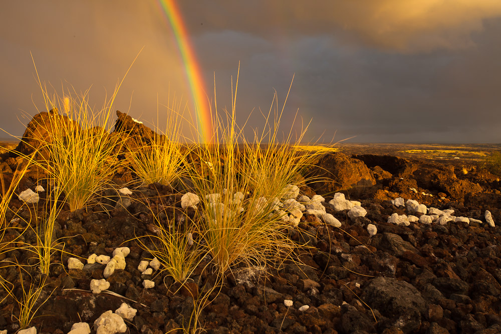 Regenbogen im Paradies