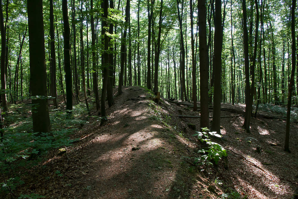 Keltenwall