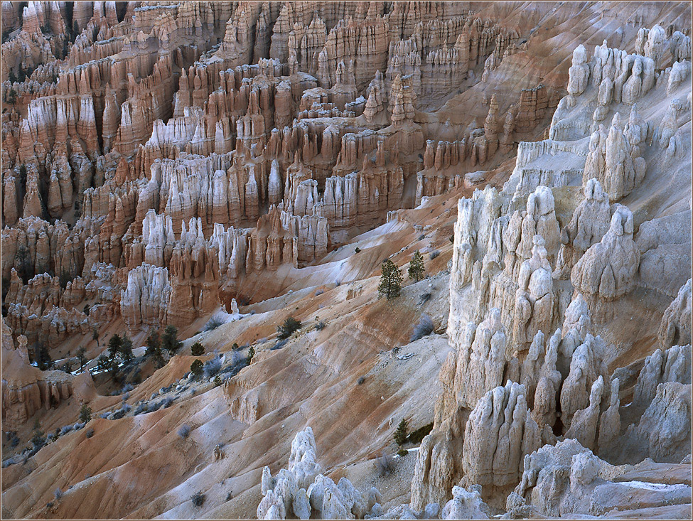 Bryce