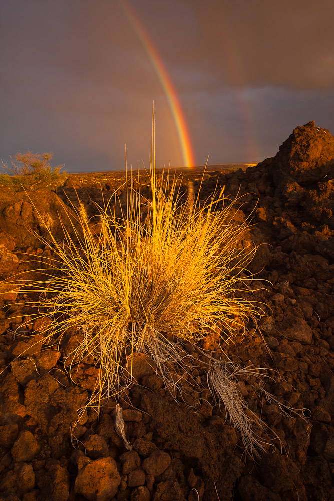 Regenbogen im Paradies 2