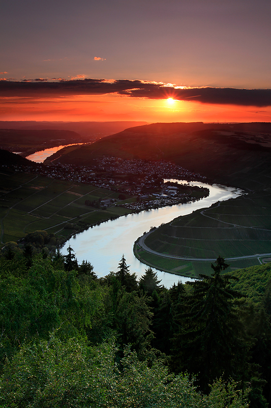 Blick auf die Mosel