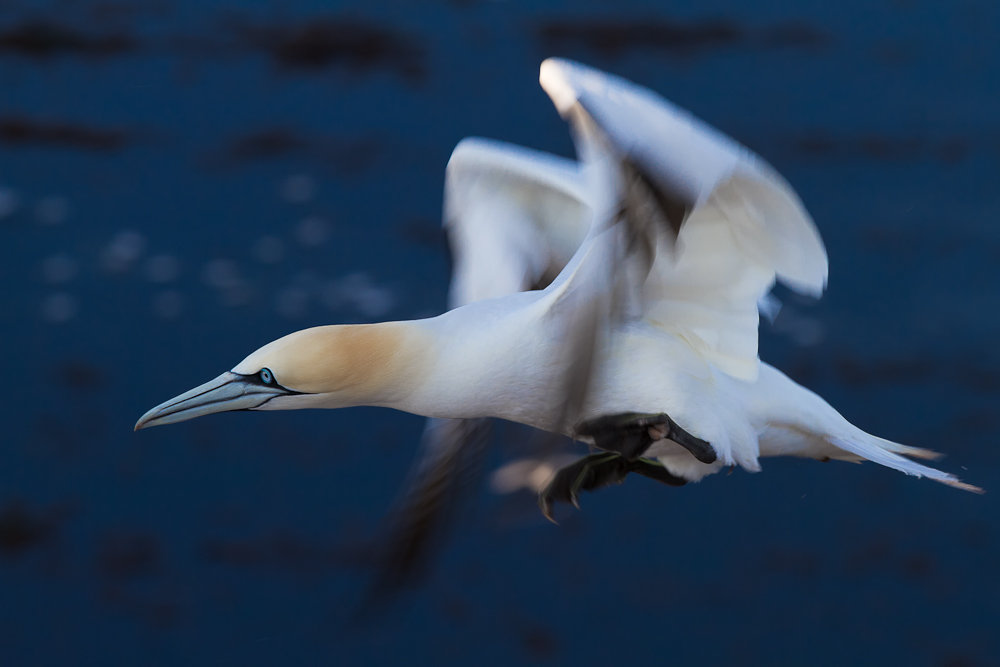 Flugdynamik