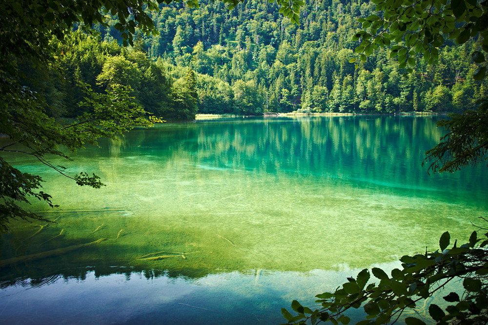 Alpsee