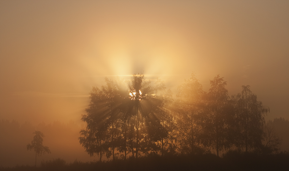  - image::Karsten_Fischer_sonnenaufgang_sonne_landschaft