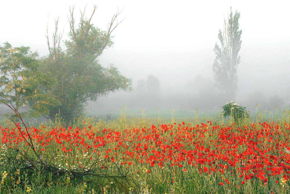 Es ist noch Sommer