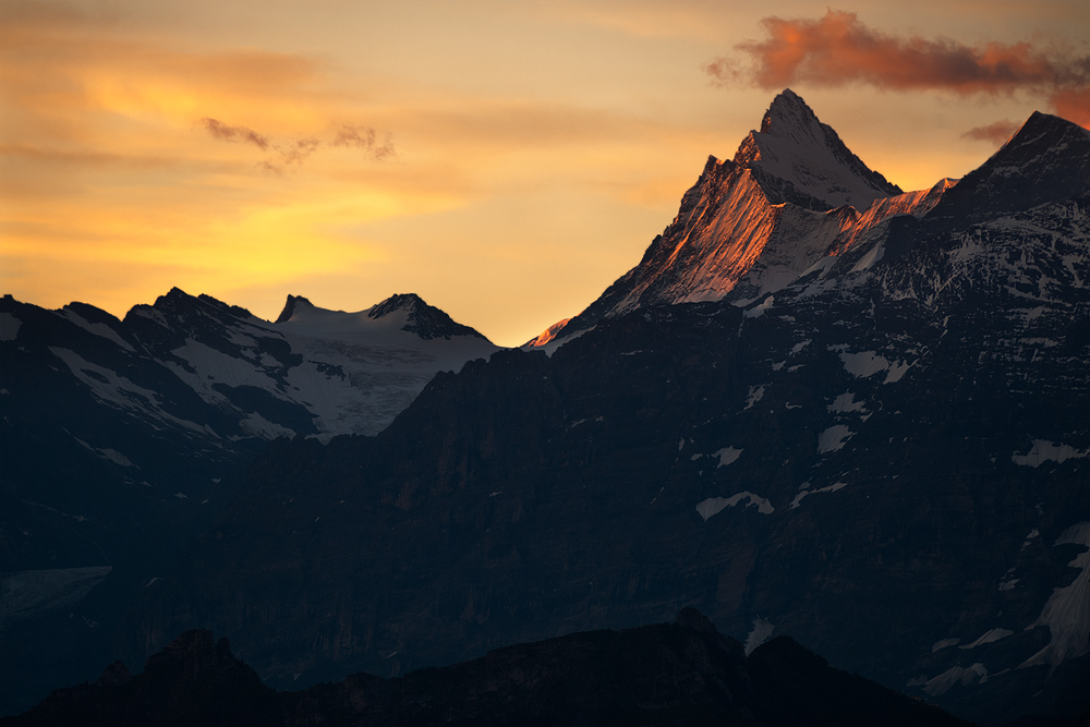Finsteraarhorn (Forum für Naturfotografen)