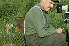 der lachende Fuchs