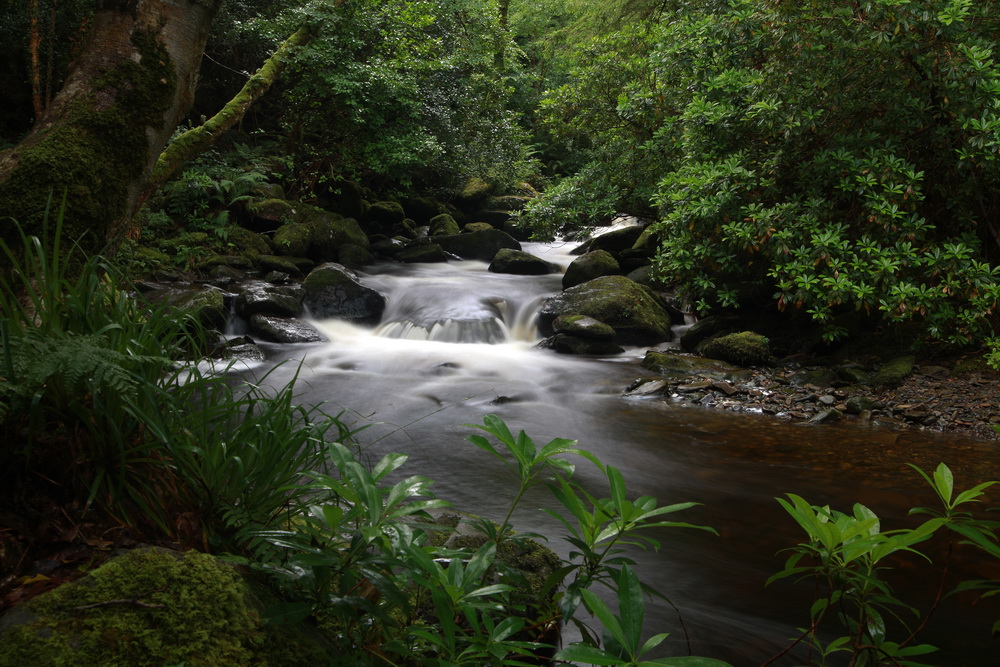 Killarney National Park