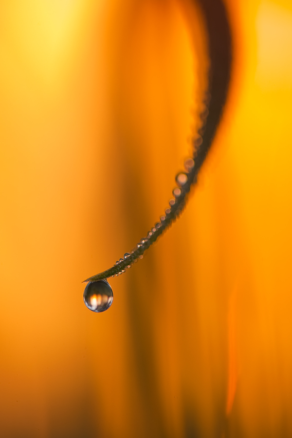 Feuer und Wasser