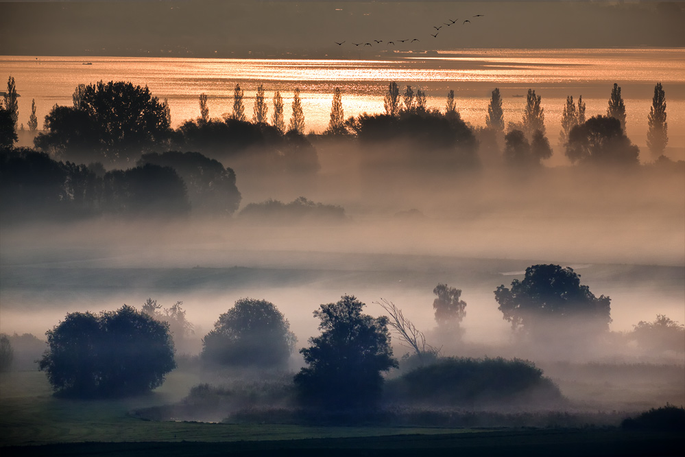 https://naturfotografen-forum.de/data/o/117/589608/image.jpg