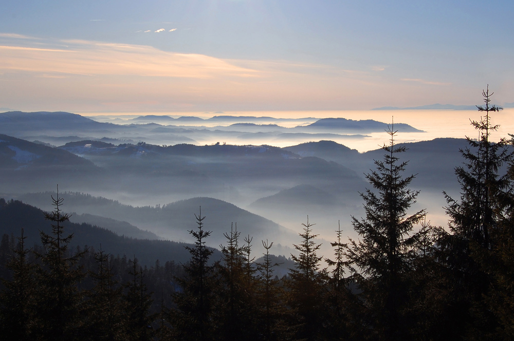 Blick über den Schwarzwald