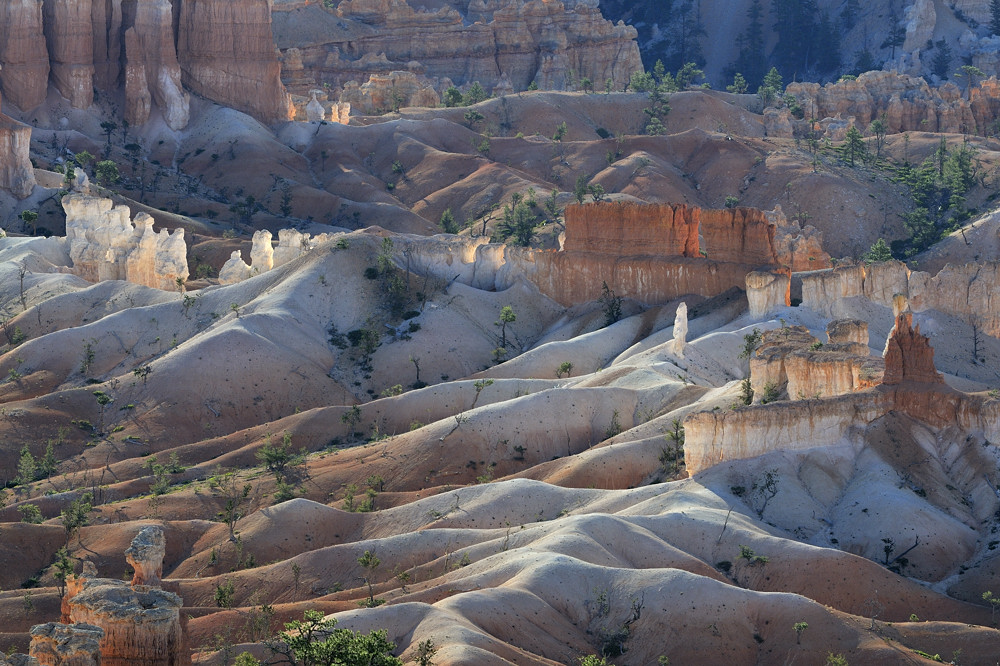 Bryce Canyon im ersten Licht