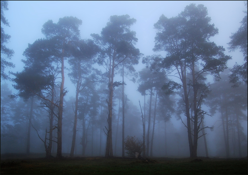 Morgengrauen