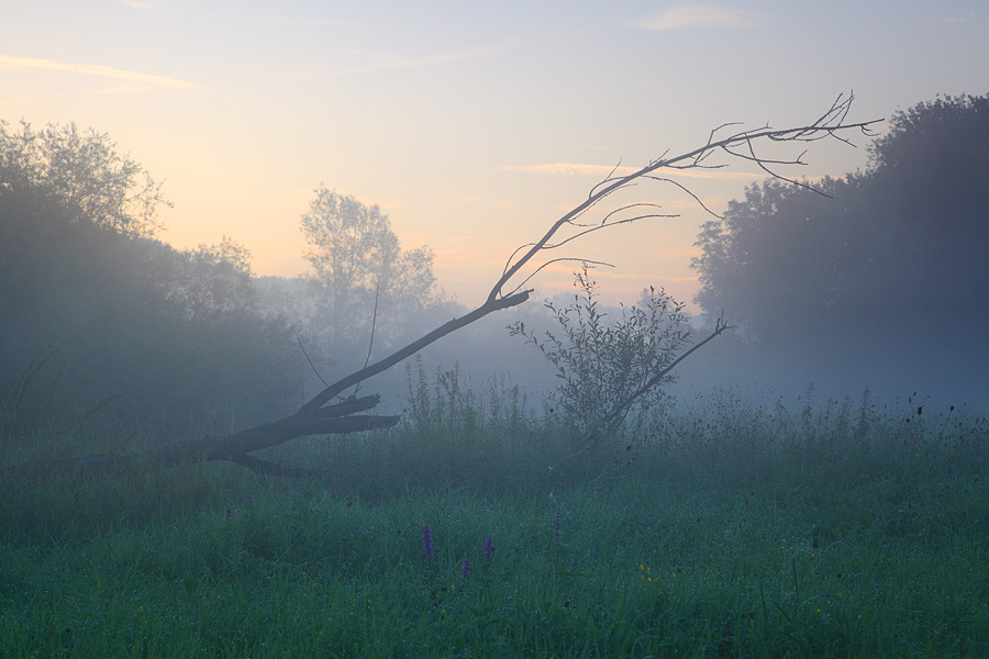 Nasse Füsse in der morgendlichen Stille