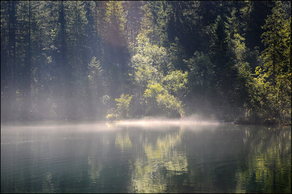 Morgens am See