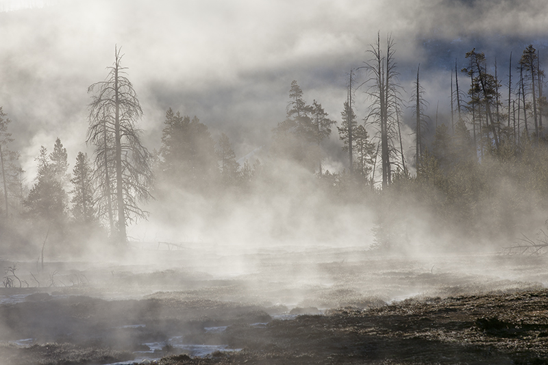 Nez Perce Creek