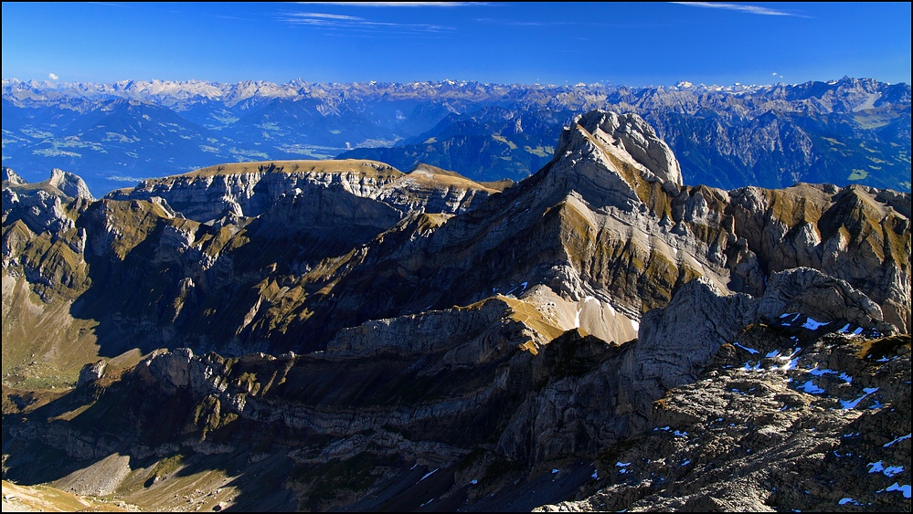 Altmann (Forum für Naturfotografen)
