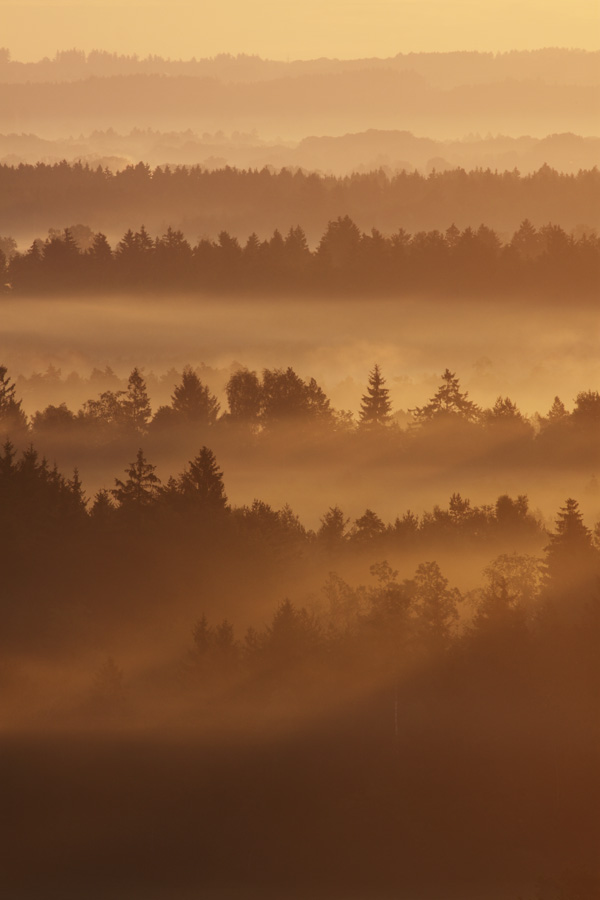 Strahlen im Nebel