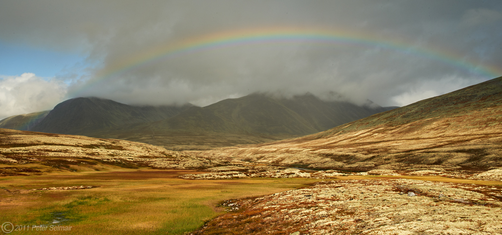 Regenbogen