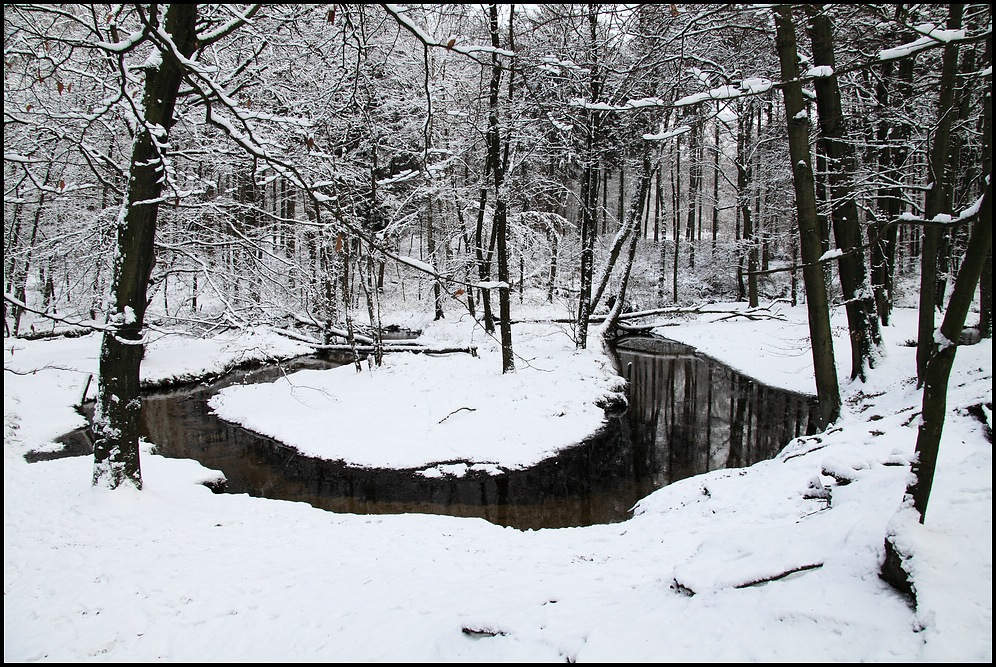 Rotbach monochrom