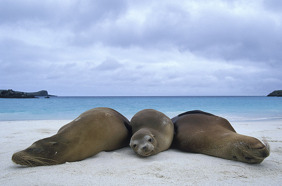 Tag am Meer (ND)