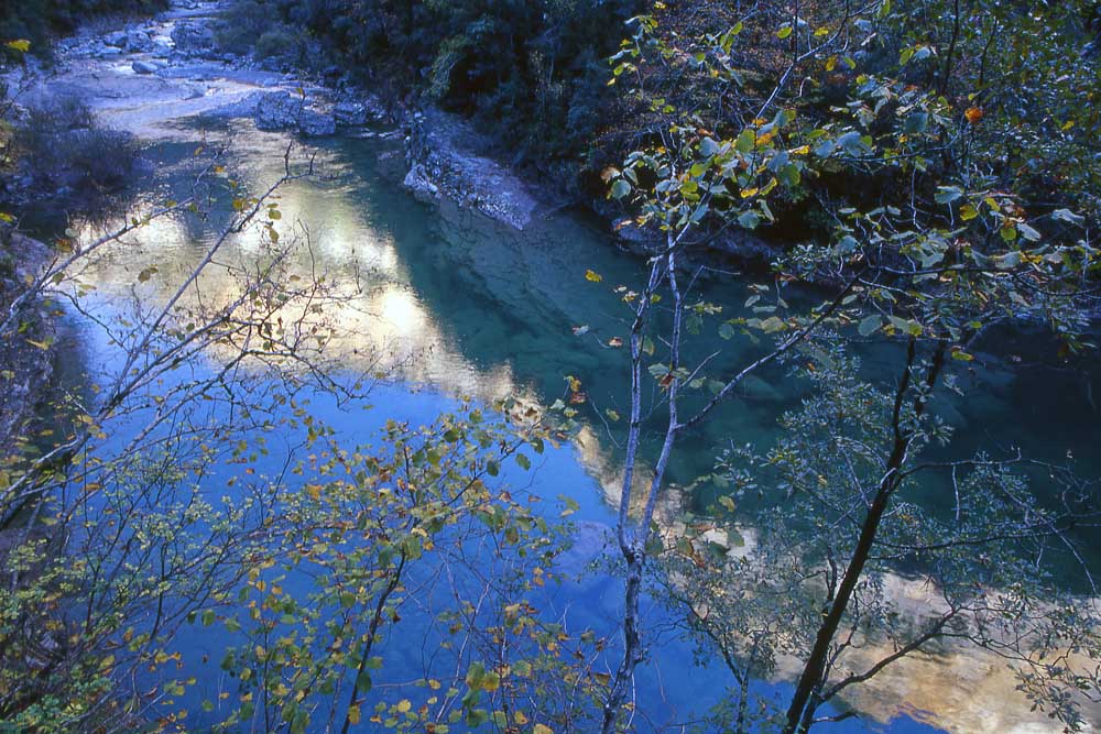 Flusslauf in der Aniscloschlucht ND