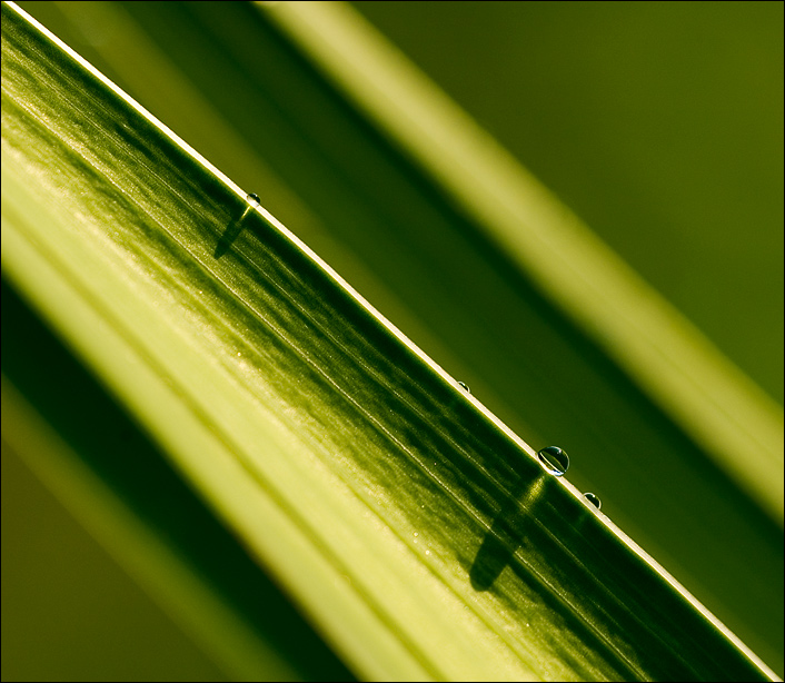 tropfen - schatten - reflexionen