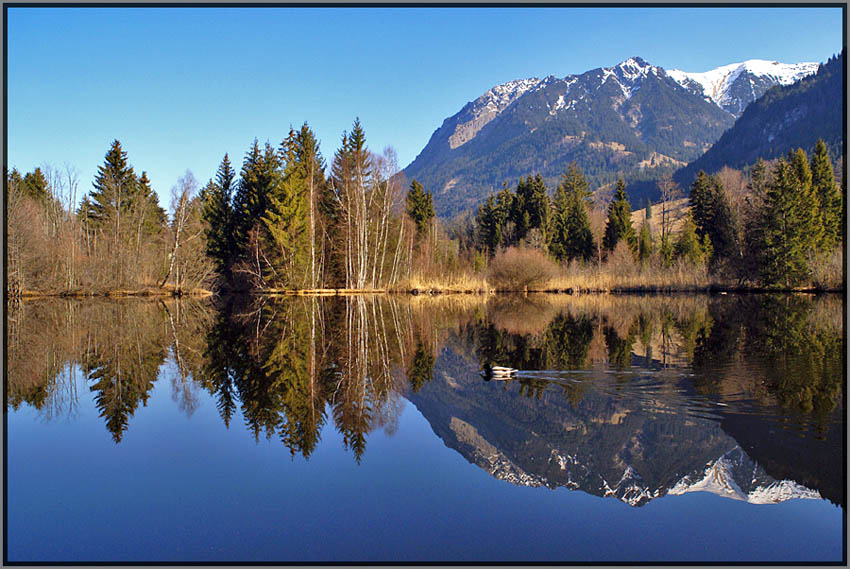 Am Moorweiher