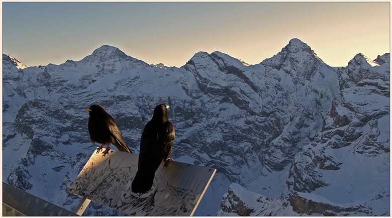 Abends auf dem Schilthorn