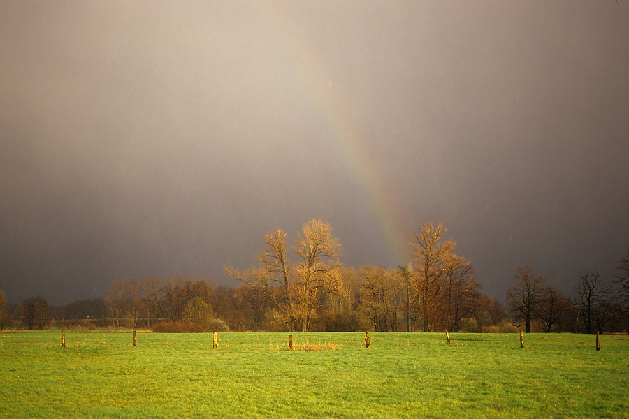 Gewitterstimmung in der Emsaue ND