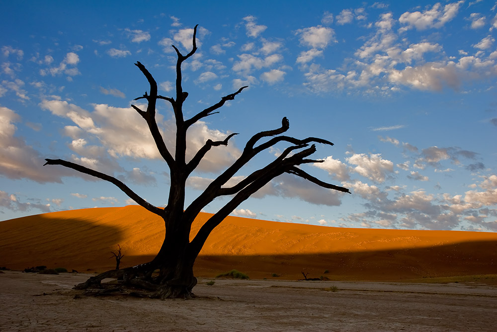 Deadvlei