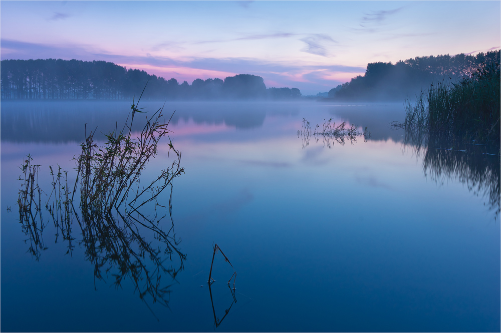 Stille