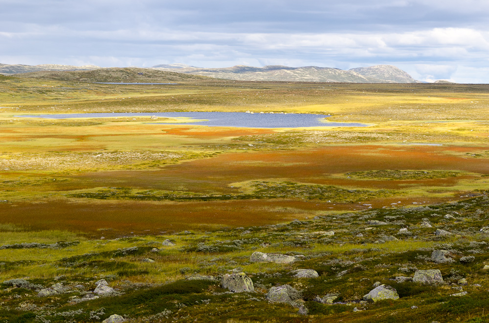 Weites Land