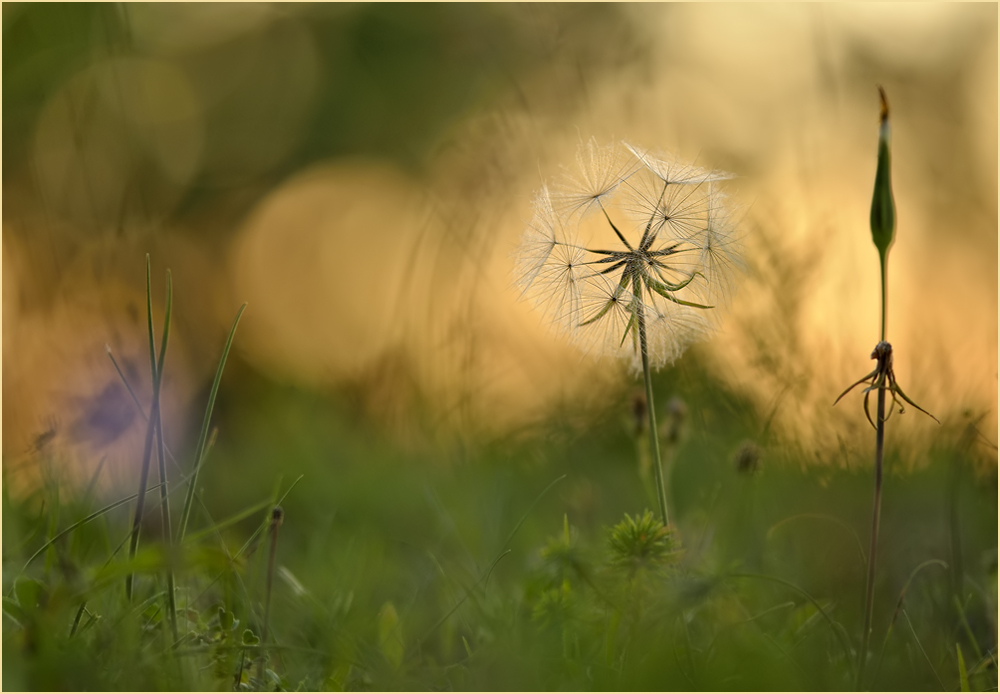 Im Herbst des Lebens ...